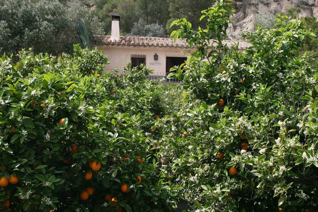 Casica De Perintin Cottage Ricote ภายนอก รูปภาพ
